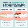 LIVFRESH Toothpaste Gel, Clinically Proven to Remove Plaque 250% Better, Improves Gum Health 190% Better, Prevents & Reduces Tartar, Freshens Breath, SLS Free Dental Gel, Wintergreen view 2