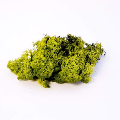 2X Finland Moss Olive Green 500g Bag