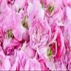2 Packs Rose Flavoured Sweets Delight (Lokum) with Rose Damascene Petals view 4