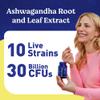 Lovebug Mind Formula Multi-Biotics 10 Clinically Studied Strains & Patented Organic Ashwagandha 30 Count view 2