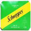 Schweppes Mini Cans (Canada Dry Ginger Ale Mini Can 2 x 12 x 150ml) view 1