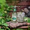 Fentimans Ginger Ale - Botanically Brewed Soft Drink - Exquisitely Crafted and Refreshing Soft Drinks - Gluten-Free and Vegan Friendly Soft Drinks - 4 x 200 ml Bottles view 2