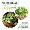 20MG Sulforaphane | from Broccoli Sprouts & Seed Extract | 565MG Microbeadlet Complex | 26MG of Glucoraphanin + Myrosinase | Complete NRF2 Activator, Antioxidant & Cellular Health Supplement | 60 Ct. view 2