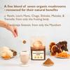 Sevenhills Wholefoods Organic 7 Mushroom Blend Powder 500g with Lion's Mane, Reishi, Chaga, Cordyceps, Tremella, Maitake & Shiitake view 3