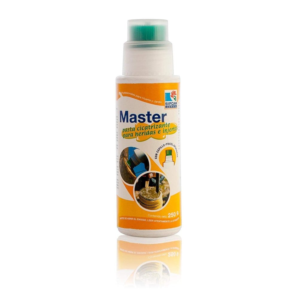 Master Healing Paste 1 Kg