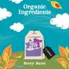 Clipper Organic Berry Burst Tea Bags | 150 Infusion Blackcurrant & Mix Fruit Teabag Sachets (6x Boxes of 25) | Bulk Buy, Home & Catering | Caffeine-Free Herbal Tea | Natural, Unbleached, Biodegradable view 3