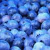 2 Pack - FruttaMax Blueberry Syrup | Less Sugar | 60% Real Fruit Concentrate | Suitable for soda Machine 2x500ml view 3