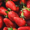 FruttaMax Strawberry Syrup | Less Sugar | 60% Real Fruit Concentrate | Suitable for soda Machine 500ml view 3