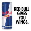 Red Bull Energy Drink Coconut Editon Coconut & Berry 250ml, 12 Pack view 3