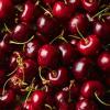 FruttaMax Sour Cherry Syrup | Less Sugar | 60% Real Fruit Concentrate | Suitable for soda Machine 500ml view 3