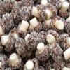 Coconut Mushrooms Retro Sweet Shop Gift Jar by The Gourmet Sweet Company view 1