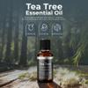 Viva Doria 100% Pure Australian Tea Tree Essential Oil, Undiluted, Food Grade, 30 mL (1 Fluid Ounce) view 4