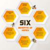 1.5kg Pure Honey Raw Unfiltered Unheated- Unpasteurised CRYSTALIZED Honey Freshly Harvested view 4