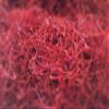 2g of premium saffron yarn in the box view 3
