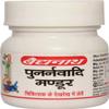 Baidyanath Punarnavadi Mandur - 40 Tablets (Pack of 2) view 4