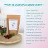 Love Your Gut diatomaceous Earth Powder 100g, by Supercharged Food view 2