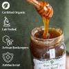 Active Raw Greek ORGANIC RED FIR HONEY 19.5, 1kg - Organic Unpasteurised Cold Pressed Honeydew Honey Rare High Altitude Forest Honey from Mount Kaliakouda Natural Prebiotic & Antibacterial view 3