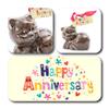 ButtonChocs Anniversary Chocolate Kitten. Belgian Milk Chocolate Anniversary Cat Gift. view 2