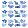 24 Forget Me Not Blue Flower Edible Wafer Paper Cake Toppers Decorations view 2