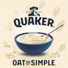 Quaker Oat So Simple Big Bowl Golden Syrup 6 x 49.6 g (Pack of 8) view 3