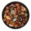 1/2LB Large Dream Agate Tumbled Polished Natural Crystal Healing Pocket Stones Rock Collection view 2