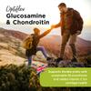 Healthspan Glucosamine & Chondroitin (120 Tablets, 500mg Glucosamine & 100mg Chondroitin) | Joint Health | Building Blocks of Joint Cartilage | 20mg Vitamin C | Sustainably Sourced view 3