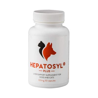 Hepatosyl Plus Capsules 50mg (60 capsules)