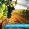 Activity Superstore Vineyard with Lunch for Two Gift Experience Voucher view 2