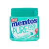 Chewing Gum | Mentos | Gum Pure Fresh Wintergeen Sugarfree 50 Pieces | Total Weight 100 Grams view 1