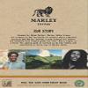 Marley Coffee Medium Roast Organic Coffee Beans 227g - One Love Blend - From The Marley Family - For All Coffee Machines - Strength 3 view 3