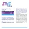 ALLNUTRITION Zinc Forte, 120 tabs view 2