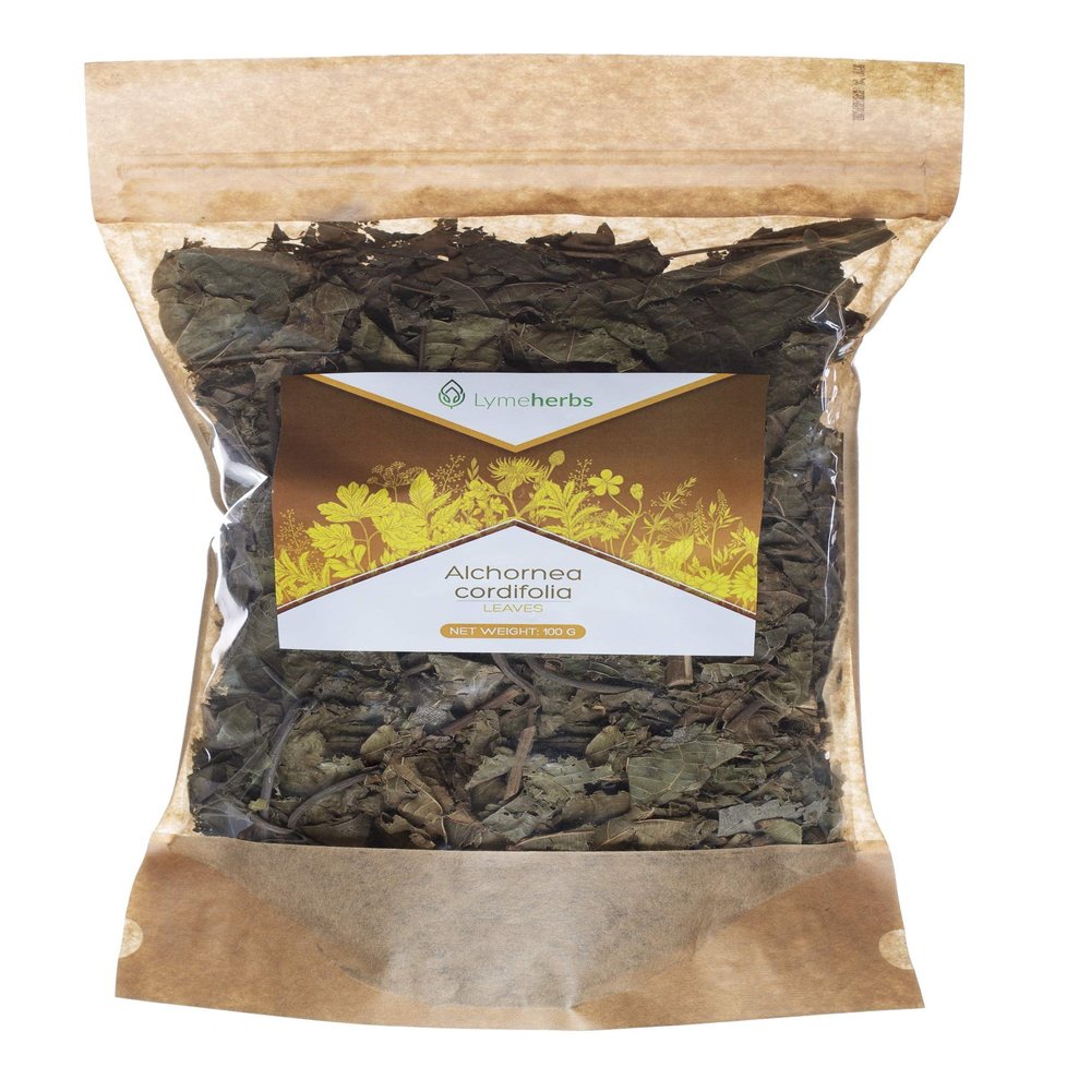 Alchornea cordifolia Cut, Leaves (100g)