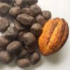Caribbean Cacao Powder | Caribbean ritual drink made with natural spices | Great in all seasons (Cacao Powder) view 4