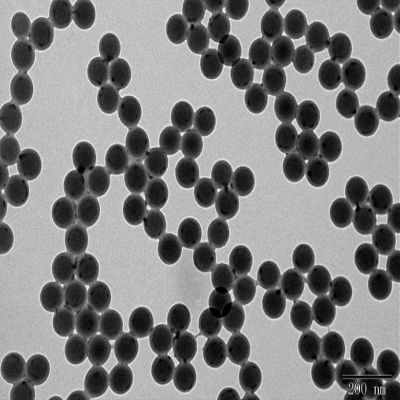 Alpha Nanotech Colloidal Polystyrene Beads 10 ml (Non-Functionalized; 200 nm - 100 um) (2 m, 10 mg/ml)