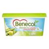 Benecol Light Spread 500g view 1