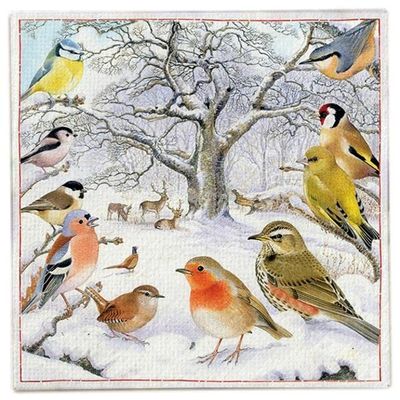 Ambiente Christmas Napkin 33 Centimetre Pack of 20 Bird Meeting
