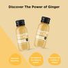 Fighter Shots Ginger Shots (12x60ml) | Award Winning Fresh & Fiery Ginger Shots | 27g of Cold Pressed, Fresh Root for Immune Support | Boosts Energy | 100% Natural | A Perfect Pick Me Up view 3