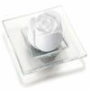 Primavera Life Scented Stone Rose Blossom with Glass Plate (6 x 1 Item) view 1