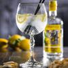 Bar Gin Tonic 18.5cl view 2