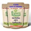 5greens Fo-Ti Root (He Shou Wu) Capsules 12:1 6600mg Equivalent 12 x 500mg Strongest ON Amazon - NO Nasty Extras FILLERS OR Binders 100% Natural FO-TI Root Extract Prepared FO-TI (180 Capsules) view 1