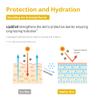 Squalene & Ceramides with Vitamins A & E  Skin Hydration and Anti-Aging Support  Hydrolipidic Barrier Restoration  LipidCell (60 Capsules) view 4