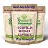 Boswellia Serrata Capsules 10:1 Extract (4600mg Equivalent) | Indian Frankincense | 120 Vegetarian Capsules, 4 Month Supply | Joint Care Supplement | Natural Anti INFLAMMATORY | 5greens (120) view 1