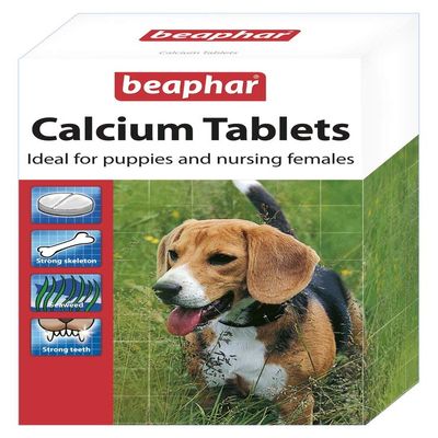 2 x Calcium Tablets