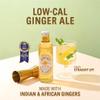 SEPOY & CO. Premium Fiery Ginger Ale made with natural Indian & African Gingers | Low Calorie, Low Sugar | Pure Himalayan Water & 100% Natural Ingredients | 12 x 200ml Bottles view 3