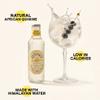 SEPOY & CO. Indian Tonic Water - 12 x 200ml | Pure Himalayan Water & 100% Natural Ingredients | Low Calorie, Less Sugar | Premium Gin & Tonic Mixer | Made in India view 3