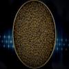 Caviar Top Selection 100 gr view 1
