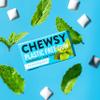 Chewsy Mixed Flavours Plastic Free Gum | Plant Based | Sugar Free | Aspartame-Free | Xylitol | Tooth Friendly | Vegan | Biodegradable | Natural Chewing Gum 12 Packs view 2