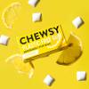 Chewsy Mixed Flavours Plastic Free Gum | Plant Based | Sugar Free | Aspartame-Free | Xylitol | Tooth Friendly | Vegan | Biodegradable | Natural Chewing Gum 12 Packs view 4