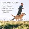 Green Lipped Mussel for Humans & Dogs - New Zealand Green Lipped Mussel Capsules 1000mg - High Strength Joint & Mobility Supplement with Omega 3-100% Pure Powder - 90 Tablets - Made in The UK view 2