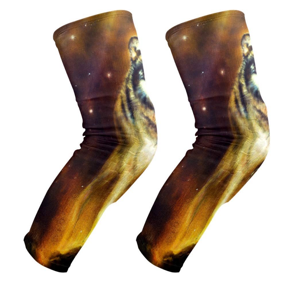 EZIOLY Wolf Portrait Oil Painting Knee Pads, Basketball Football Volleyball Honeycomb Leg Sleeve Kneepad Protector Padded Support Knee Brace for Men Women